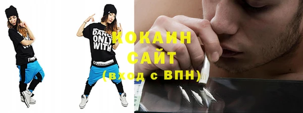 мдпв Майский