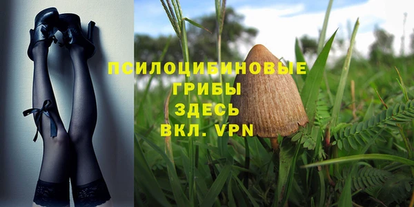 прущая мука Магас