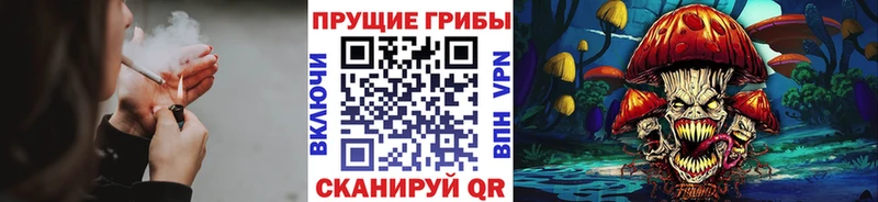Галлюциногенные грибы мухоморы  Красноярск 